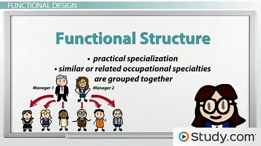 Types of Organizational Structure | Overview & Examples