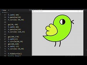 Draw Bird 🐦|Full Python Code || Python Turtle