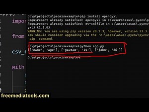 How to Convert CSV to Excel File using openpyxl in Python
