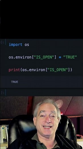 How to set OS environment variables in Python