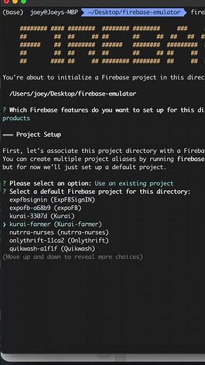 How To Run Firebase Locally Using Firebase Emulator