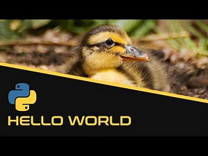 Premier programme | Python - EP3