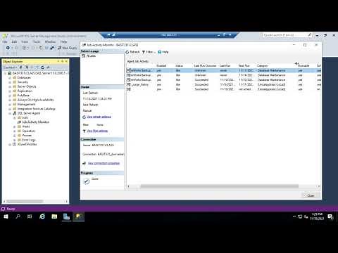 Using the SQL Server Job Activity Monitor