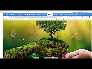 How to add Image in Angular 10