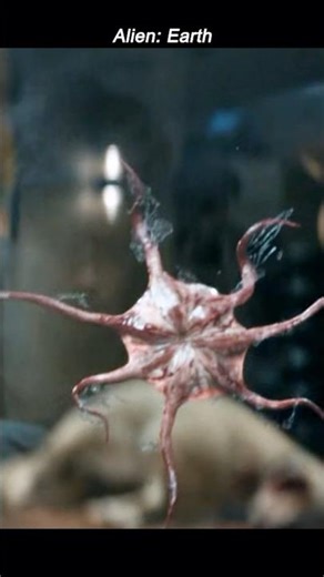 😱 EYE-CREATURE ESCAPES! | New Body Horrors in Alien Earth 👁️💀 #movie #film