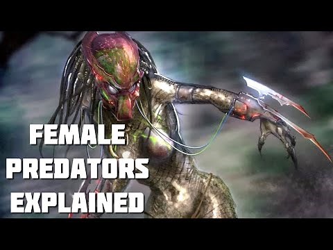 Are There Female Predators?