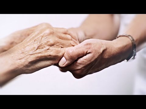 Dossier professionnel ADVF