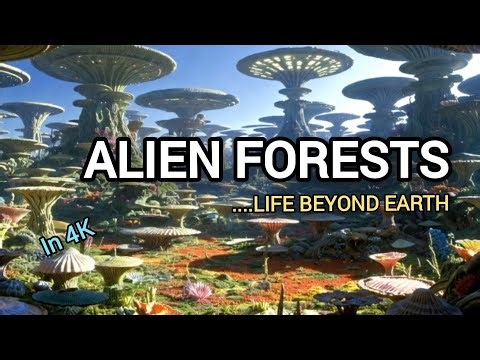 Alien Forests: How Gravity and Stars Shape Life on Distant Worlds