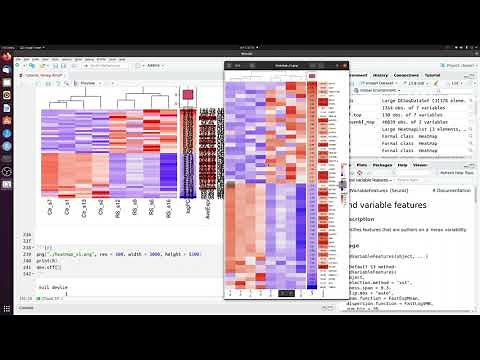 How to make a heatmap of differentially expressed genes in R (complex version).