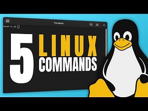 5 Linux Commands Every Beginner Should Know