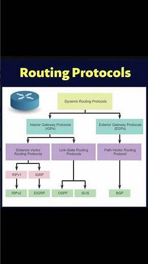 What Are Routing Protocols!!🔥🔥