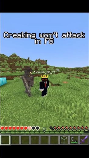 I Can’t Believe This Minecraft Myth Is Real 🤯