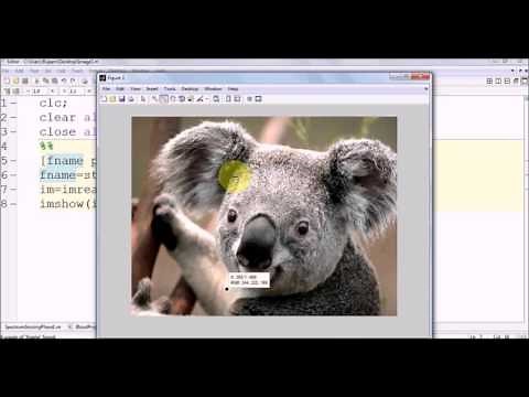 Image Processing Basics in Matlab Part 1 :Pixel Basics, Color Channels, Gray Conversion