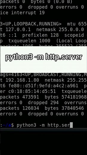 Create a Local Web Server in Seconds Using Python #hackprotech #operatingsystem #coding #python