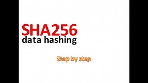 A step by step SHA256 data hashing (Updated with full source code) [external source]