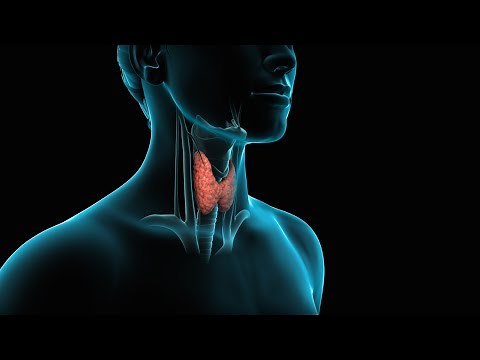 Thyroid Surgery (Thyroidectomy)