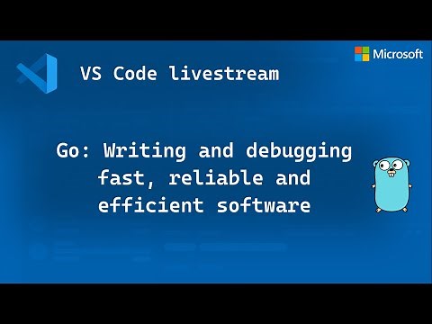 Go - Writing and debugging fast, reliable and efficient software