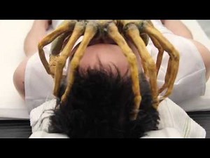 Alien facehugger scene