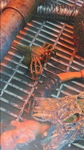 Facehugger attack #toyphotography #diorama #alienisolation