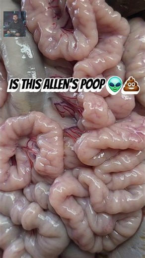 🤯Is This Aliens👽 Poop💩
