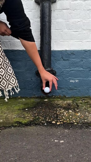 The Creative Habit: Finding Satisfaction in Everyday Details