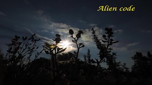 Alien code