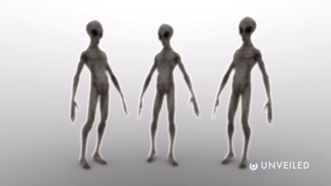 The Different Types Of Alien You Should Know About | Unveiled