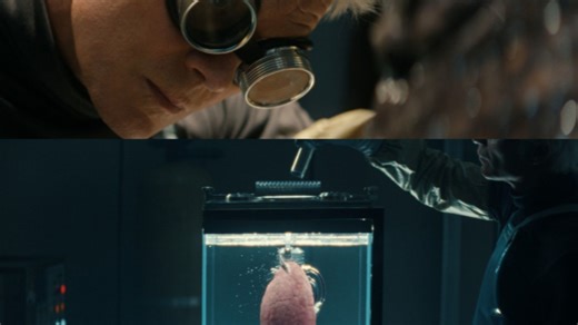 Alien: Earth: All the 5 Alien species, explained