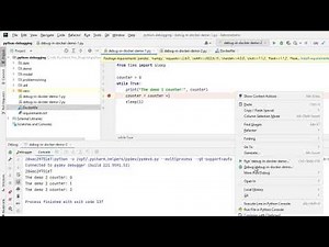 Debug Python Application in Docker using PyCharm