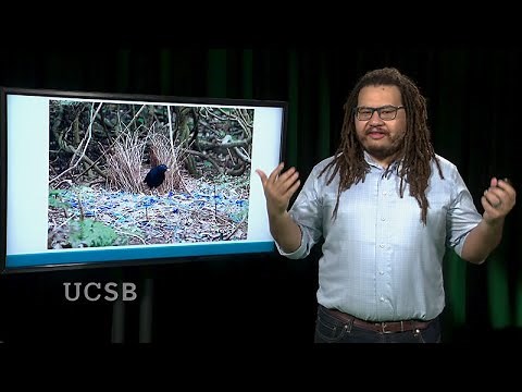 Modeling Mating: Human Mate Choice in Evolutionary and Computational Perspective