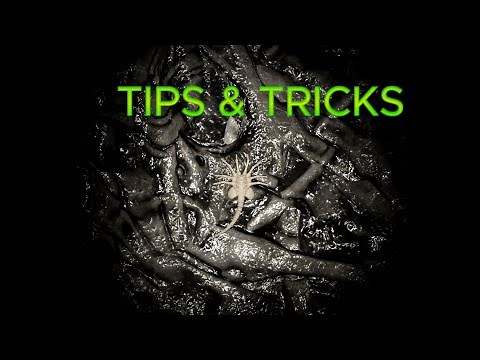 Guide to Xenomorph | Alien prototype | Roblox