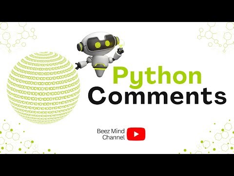 Python Comments : Visual Explainer
