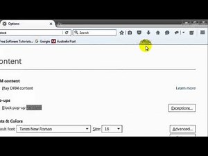 How to enable javascript in firefox