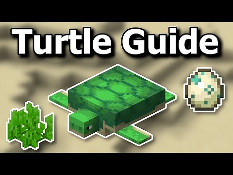 Everything You Need to Know About Turtles in Minecraft 1.21