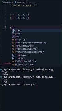 Python 3 | How do identity checks work in Python? #programming #python