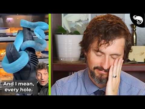 Zoologist Reacts to TERRIBLE (and Terribly Viral) Reptile Videos