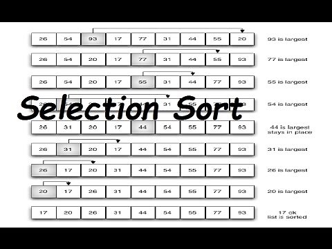 Selection Sort C Program