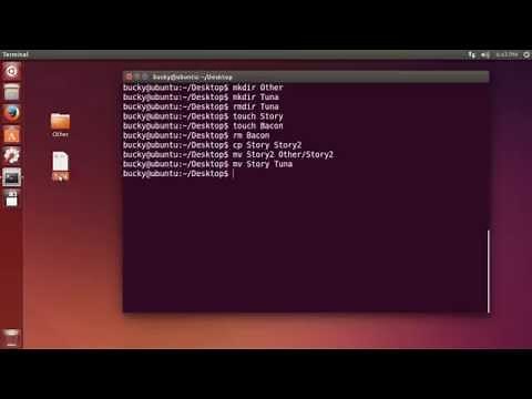 Linux Tutorial for Beginners - 5 - Navigating and Working with Files