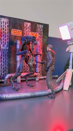 Set up a diorama for photographing toys #alien #xenomorph #neca