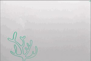 Biofluorescence: Sea Creatures Glow with Invisible Ink - Catalina Island Marine Institute