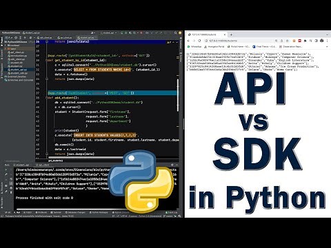 SDK vs API in Python Example
