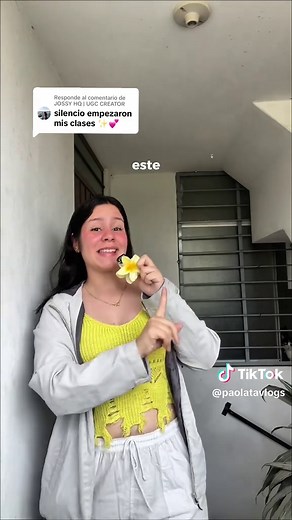 Efectos de Color en CapCut: Tutorial Paso a Paso