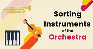 Sorting the Instruments of the Orchestra - Sunshine and Music
