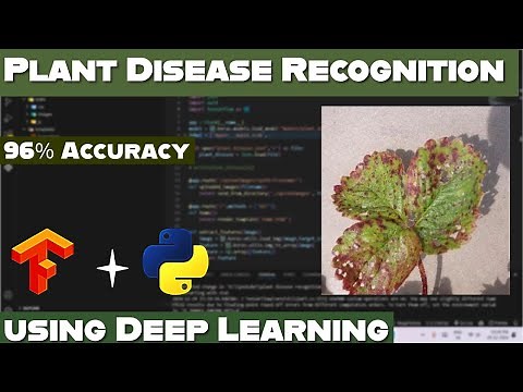 🌱 Plant Disease Recognition Model Using Deep Learning | Machine Learning Project | Python