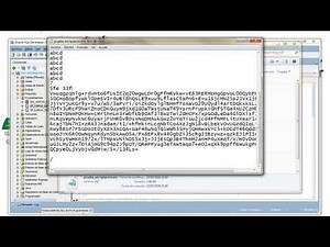 Encriptación de Código en Oracle