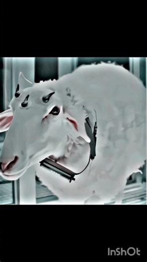 Alien Earth Eye Monster Scene | Terrifying Alien Creature Attack 👁️👾 | 4K Ultra HD