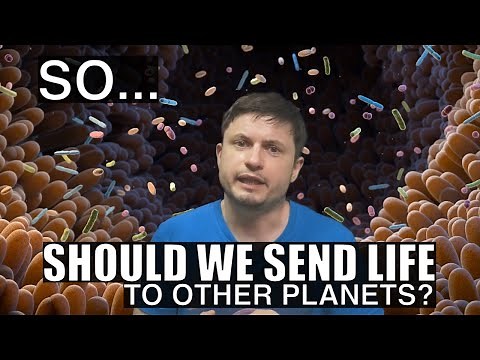 Directed Panspermia: Spreading Life To Other Planets. Can We? Should We?