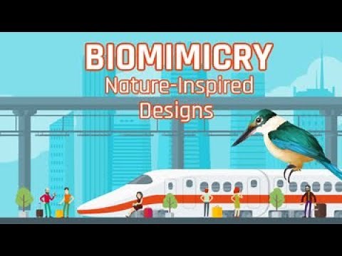 Biomimicry for Kids | Nature-Inspired Designs | Sustainable World