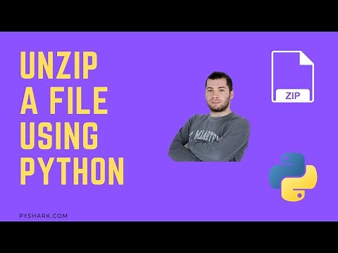 I Unzipped Files with Python - Here’s How