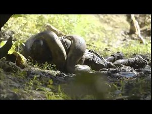 EATEN ALIVE ORIGINAL FULL VIDEO